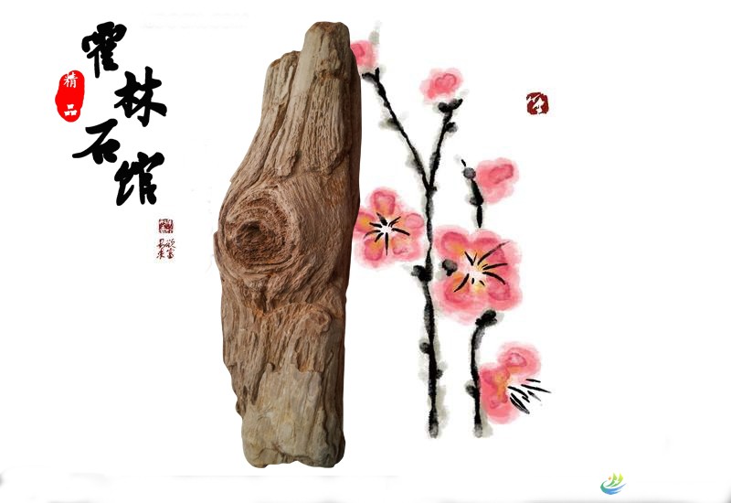 枯木逢春.jpg
