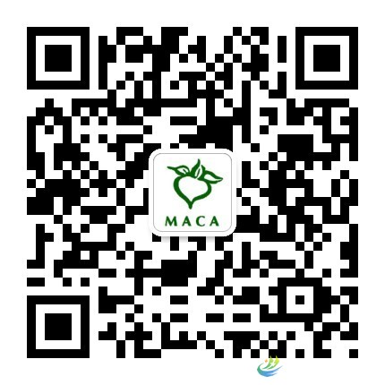 我们公共平台