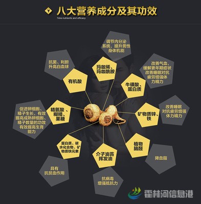 玛咖功效2
