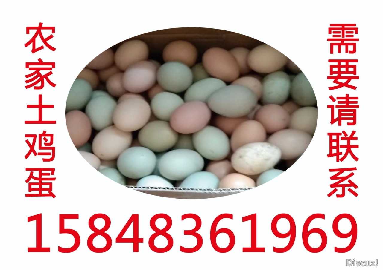 1000005309.jpg