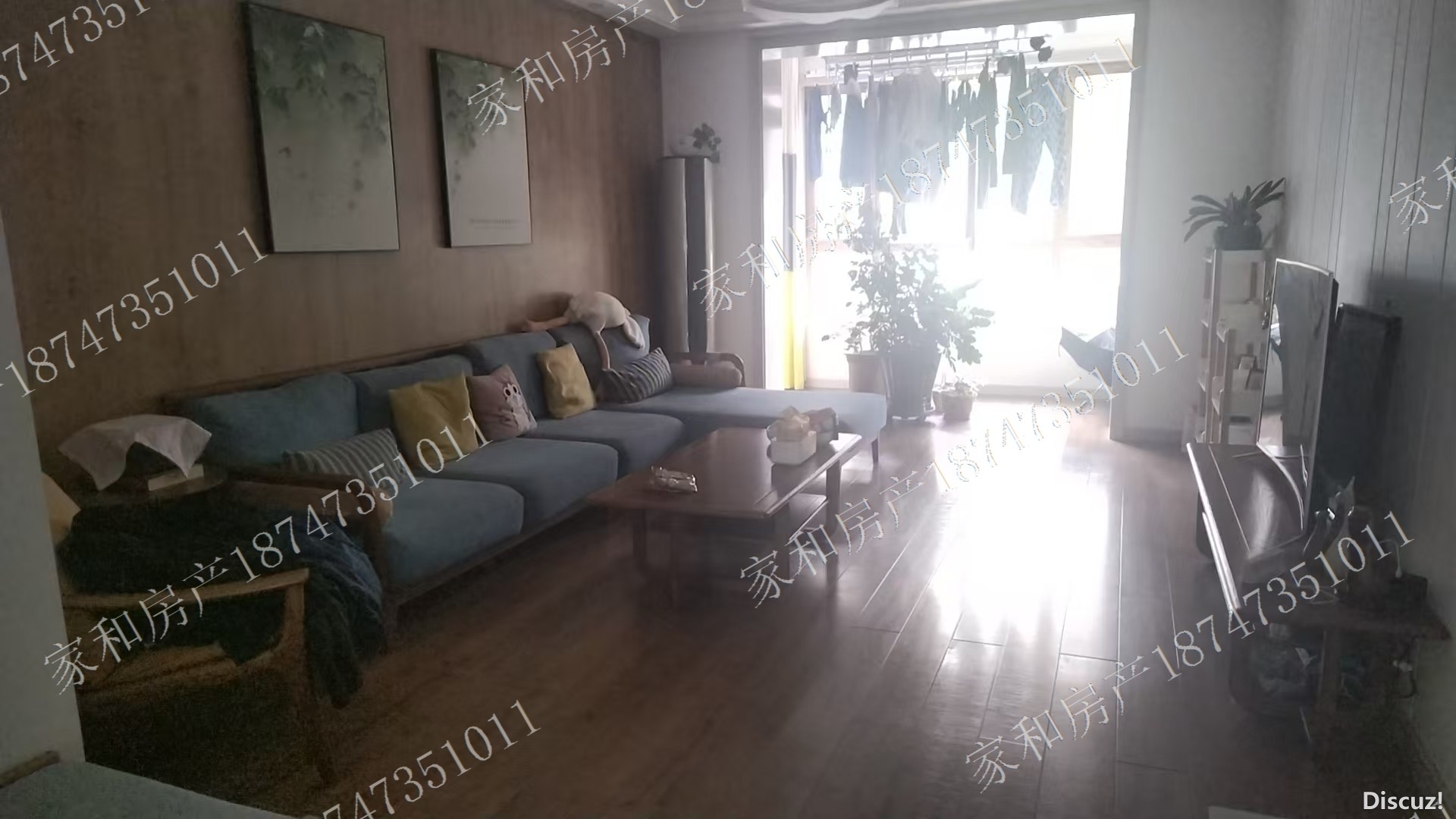 image_1753178431861.jpg