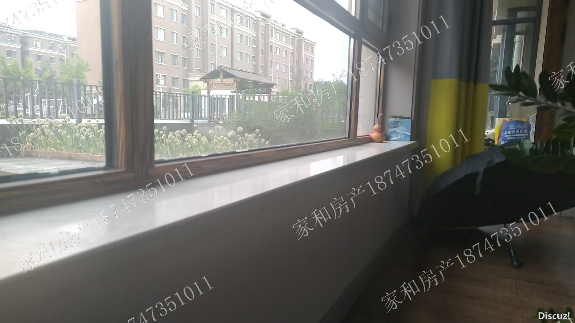 image_1753178432176.jpg
