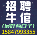 招聘牛倌