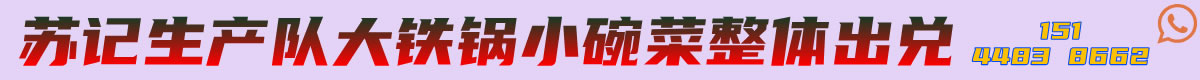 苏记生产队